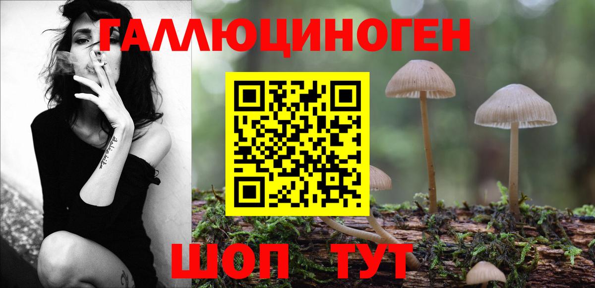 Галлюциногенные грибы прущие грибы Россошь